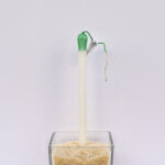 Πασχαλινή Λαμπάδα “Σπίρτα” - Image 6