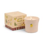 Αρωματικό Κερί Σόγιας Paddywax “Bistro Lemon”