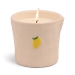 Αρωματικό Κερί Σόγιας Paddywax “Bistro Lemon”