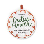 Αρωματικό Κερί Σόγιας Paddywax “Adopo Cactus Flower”